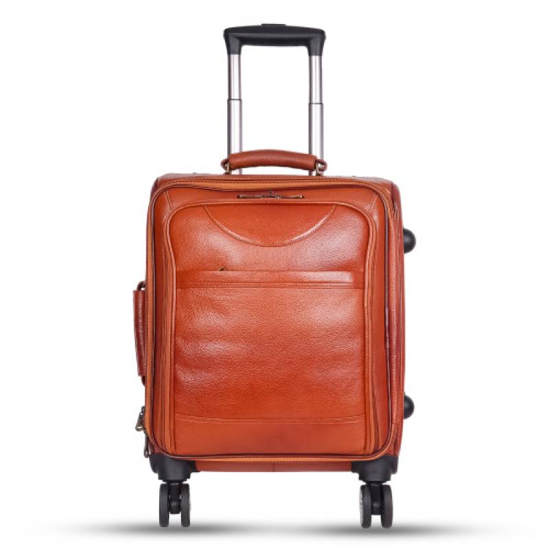 Cabin Trolley Bag (4 Wheeler), with Laptop Compartment Compatible with 15.6.